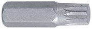 Вставка (бита) торцевая 10 мм, Spline, М8, L = 36 мм