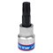 Насадка (бита) торцевая 3/8", Torx, T45, L = 50 мм 302345 - фото 31836 Насадка (бита) торцевая 3/8", Torx, T45, L = 50 мм 302345 - фото 31836